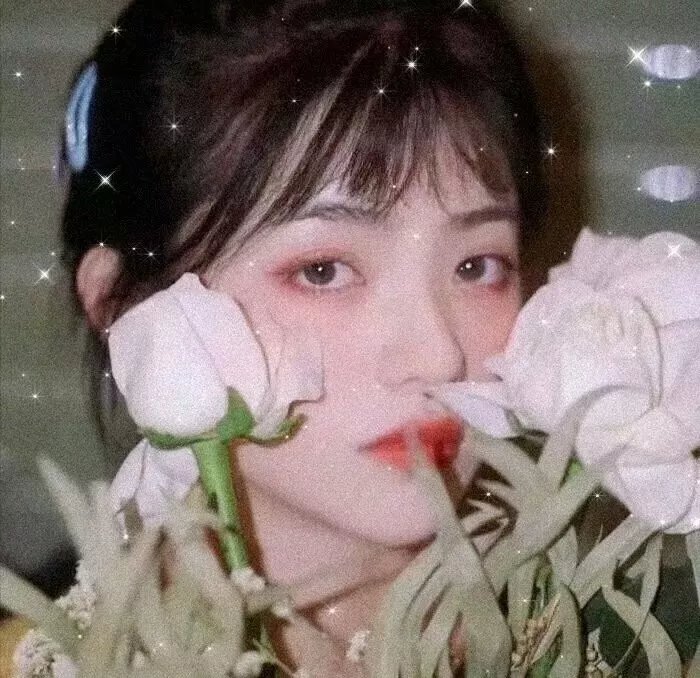 凯特的秘密